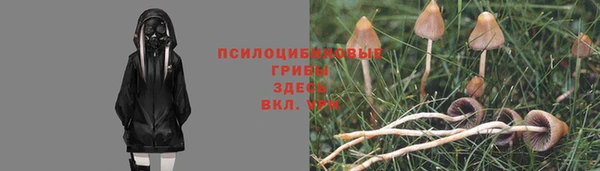 гидропоника Усинск