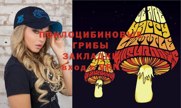 бутират Елабуга